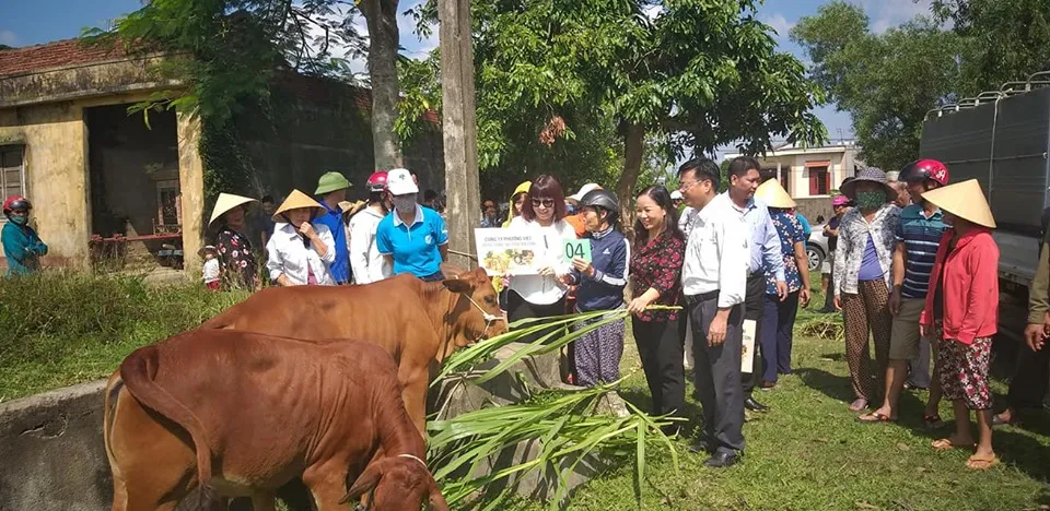 Phụ nữ Quảng Ninh trao 20 con bò giống cho hộ nghèo