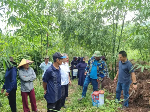 Tập huấn kỹ thuật trồng và nhân giống tre lấy măng — ảnh 3