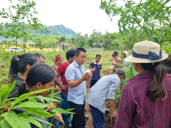 Tập huấn kỹ thuật khai thác măng bền vững gắn với bảo vệ rừng tự nhiên — ảnh 5