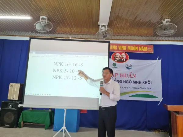 Tập huấn kỹ thuật trồng ngô sinh khối — ảnh 9