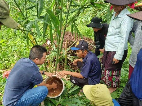 Tập huấn kỹ thuật trồng và nhân giống tre lấy măng — ảnh 23