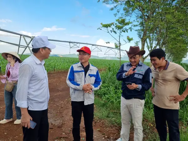 Tham quan mô hình ngô sinh khối tại Nghệ An — ảnh 32