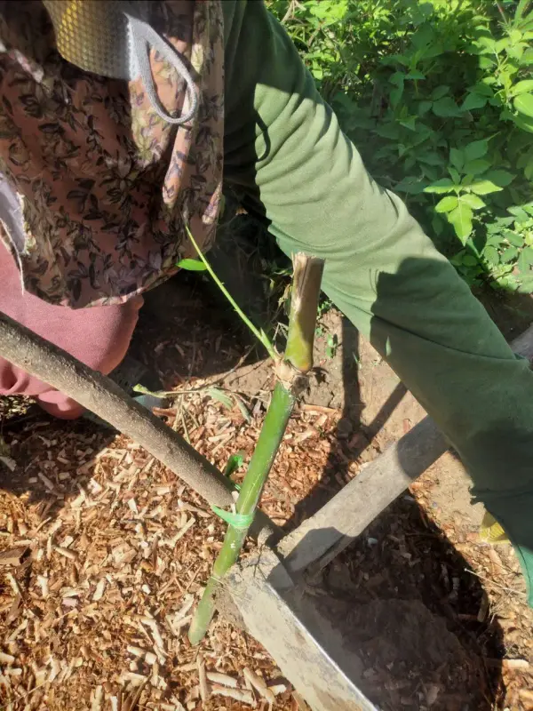Nghiệm thu sáng kiến Trường Sơn — ảnh 8