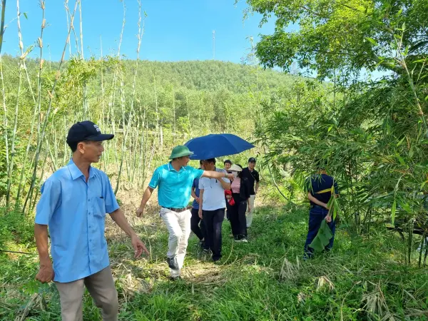 Tham quan mô hình ngô sinh khối tại Nghệ An — ảnh 10