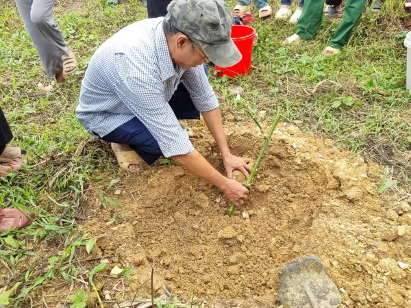 Tập huấn kỹ thuật khai thác măng bền vững gắn với bảo vệ rừng tự nhiên — ảnh 2