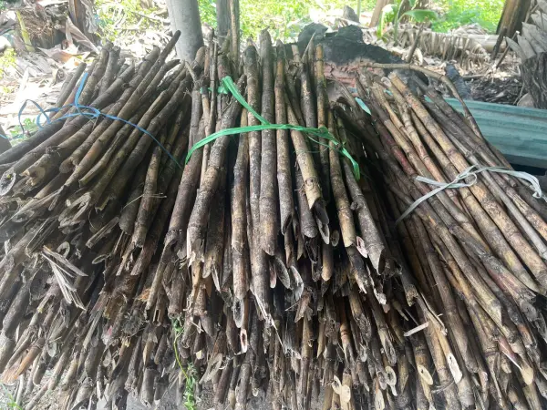 Khảo sát nhu cầu và lập kế hoạch mô hình sinh kế — ảnh 33