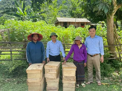 Hỗ trợ ong giống cho thành viên hợp tác xã nuôi ong lấy mật Đại ngàn Trường Sơn