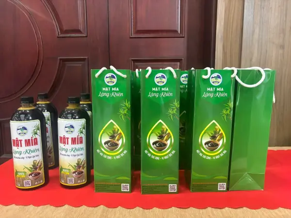 Hội thảo chia sẻ kết quả khảo sát đầu kỳ — ảnh 1