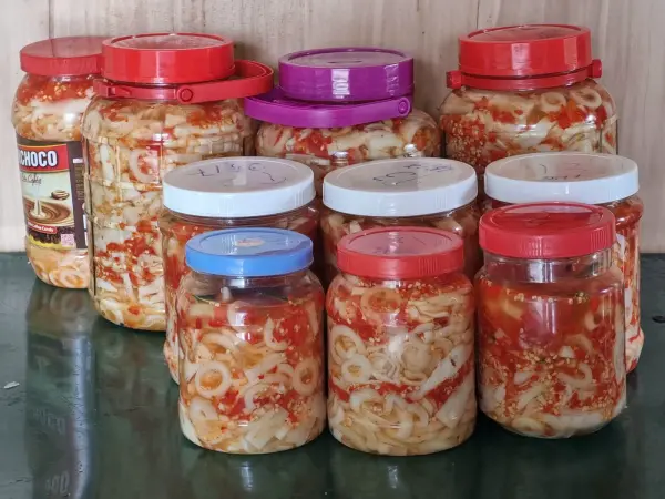 Tập huấn kiến thức vệ sinh an toàn thực phẩm và kỹ thuật công nghệ chế biến măng — ảnh 6