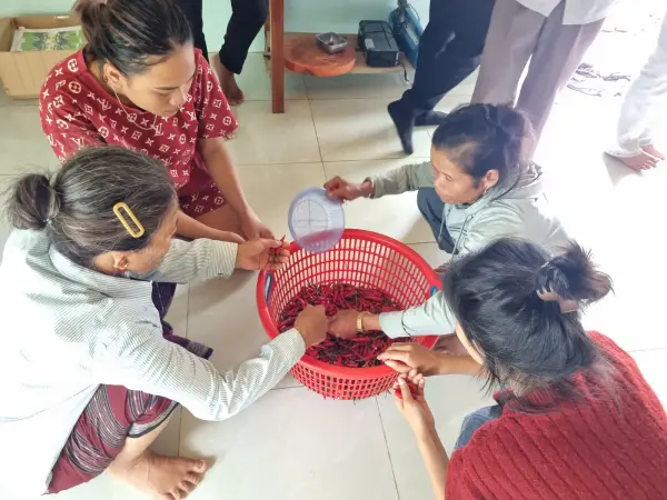 Tập huấn kiến thức vệ sinh an toàn thực phẩm và kỹ thuật công nghệ chế biến măng — ảnh 7