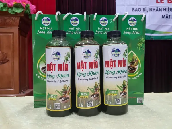 Lễ bàn giao bao bì, nhãn hiệu và bộ nhận diện sản phẩm mật mía Làng Khiên — ảnh 16