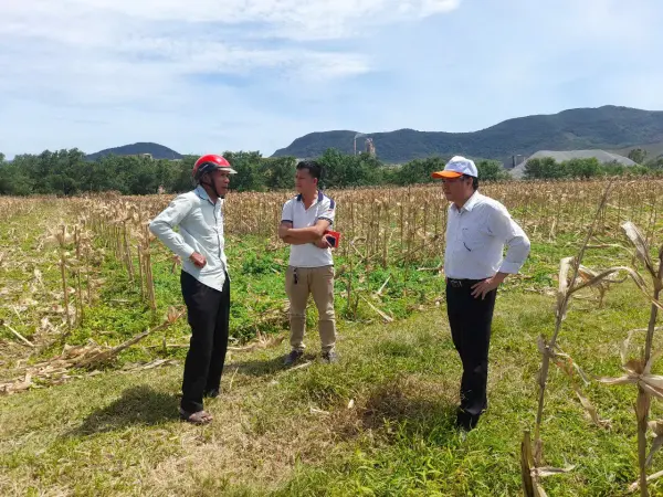 Khảo sát nhu cầu và lập kế hoạch mô hình sinh kế — ảnh 30