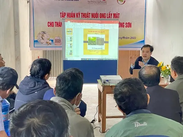 Khóa tập huấn kỹ thuật nuôi ong nâng cao