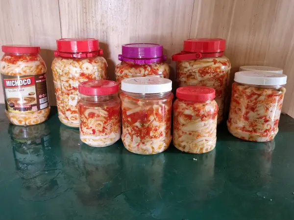 Tập huấn kiến thức vệ sinh an toàn thực phẩm và kỹ thuật công nghệ chế biến măng — ảnh 16