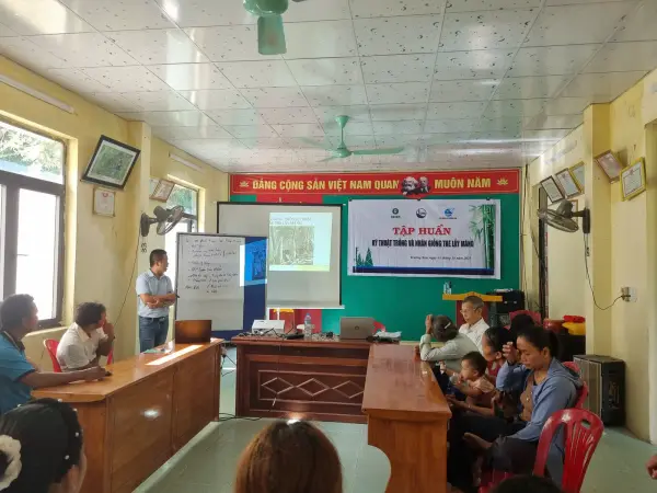 Tập huấn kỹ thuật trồng và nhân giống tre lấy măng — ảnh 15
