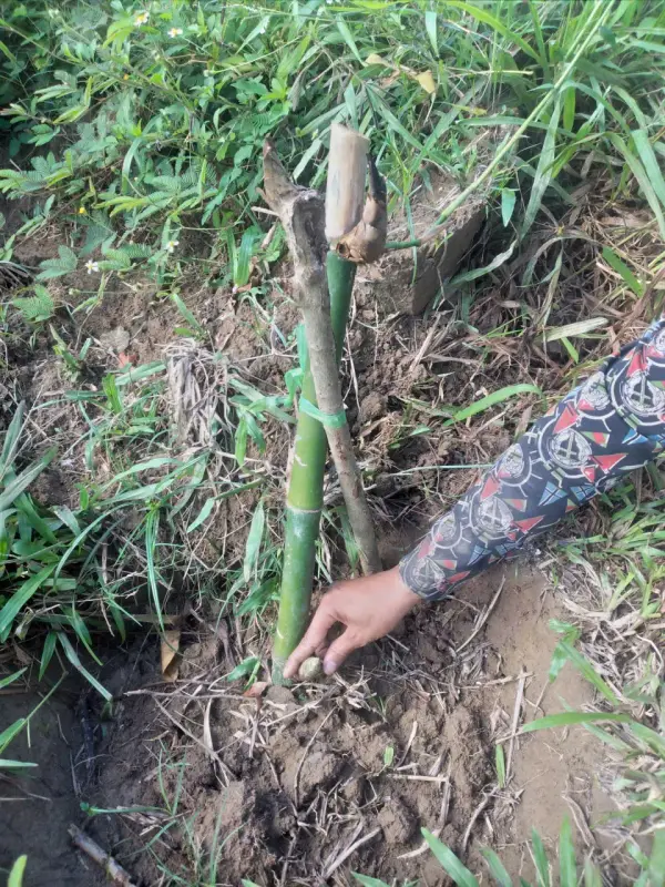 Nghiệm thu sáng kiến Trường Sơn — ảnh 12