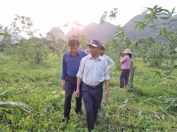 Khảo sát nhu cầu và lập kế hoạch mô hình sinh kế — ảnh 5