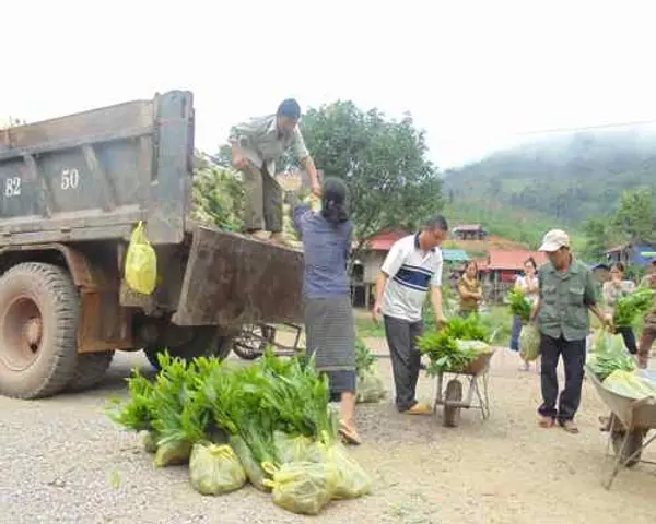 Hỗ trợ giống keo cho bà con dân tộc Vân Kiều tại bản Khe Cát, xã Trường Sơn