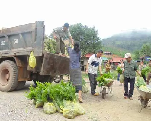 Hỗ trợ giống keo cho bà con dân tộc Vân Kiều tại bản Khe Cát, xã Trường Sơn