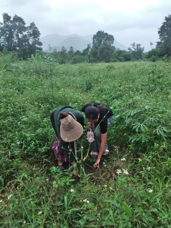 Nghiệm thu sáng kiến Trường Sơn — ảnh 17