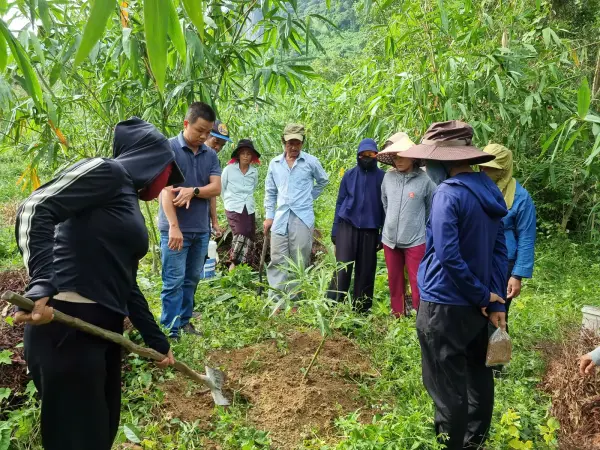 Tập huấn kỹ thuật trồng và nhân giống tre lấy măng — ảnh 18
