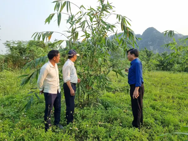 Khảo sát nhu cầu và lập kế hoạch mô hình sinh kế — ảnh 10