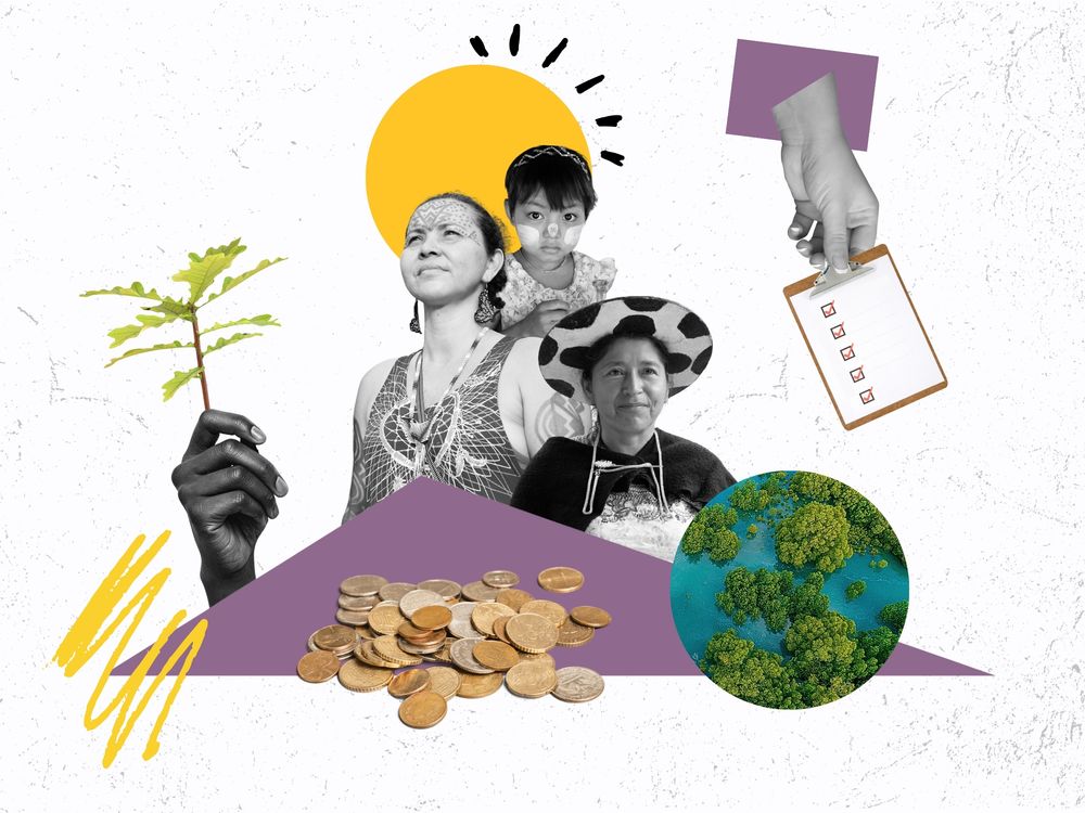 The multipolarity and geo-politics of climate finance cover