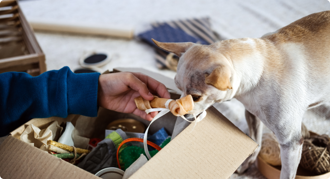 Furry Fulfillment: Pet Supplies Logistics