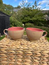 Berry Pin Striped Bowl Mug - Image 2