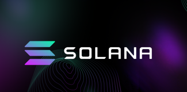 Solana's Crypto-Governance Hub Realms Under New Management