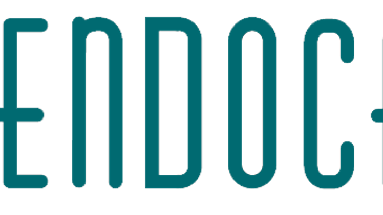 Endocare te prepara para la Navidad