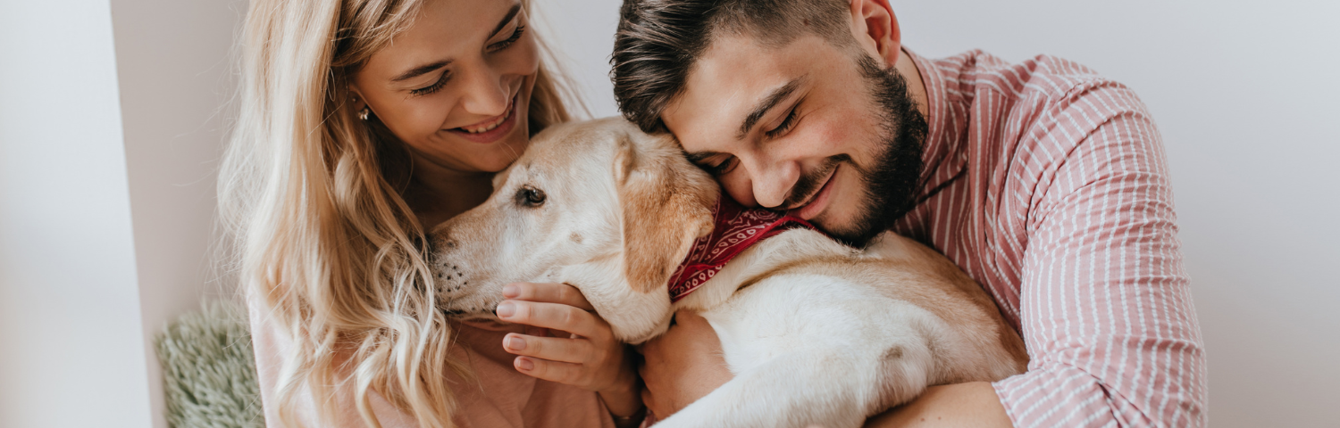 Stangest Cronicare para mascotas: Guía completa