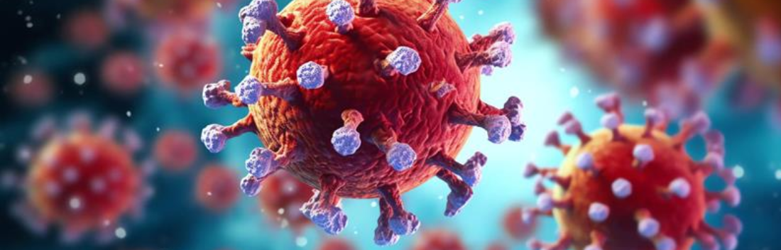 Hantavirus: qué es, cuáles son los síntomas más comunes y cómo prevenir el contagio