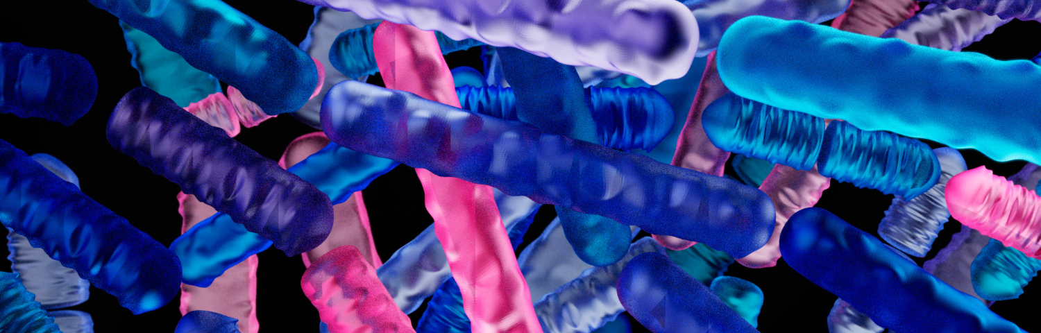 La Helicobacter Pylori