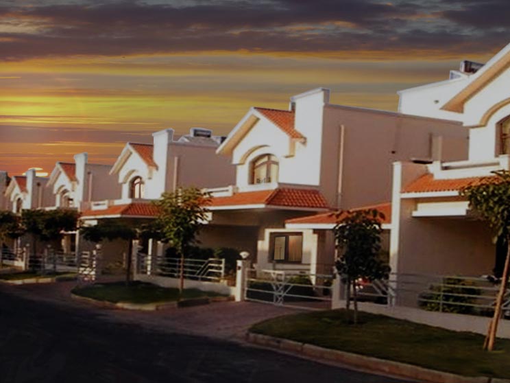 Lumbini SLN Springs