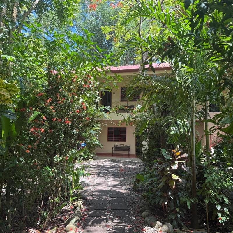 Tropical garden with flowering plants