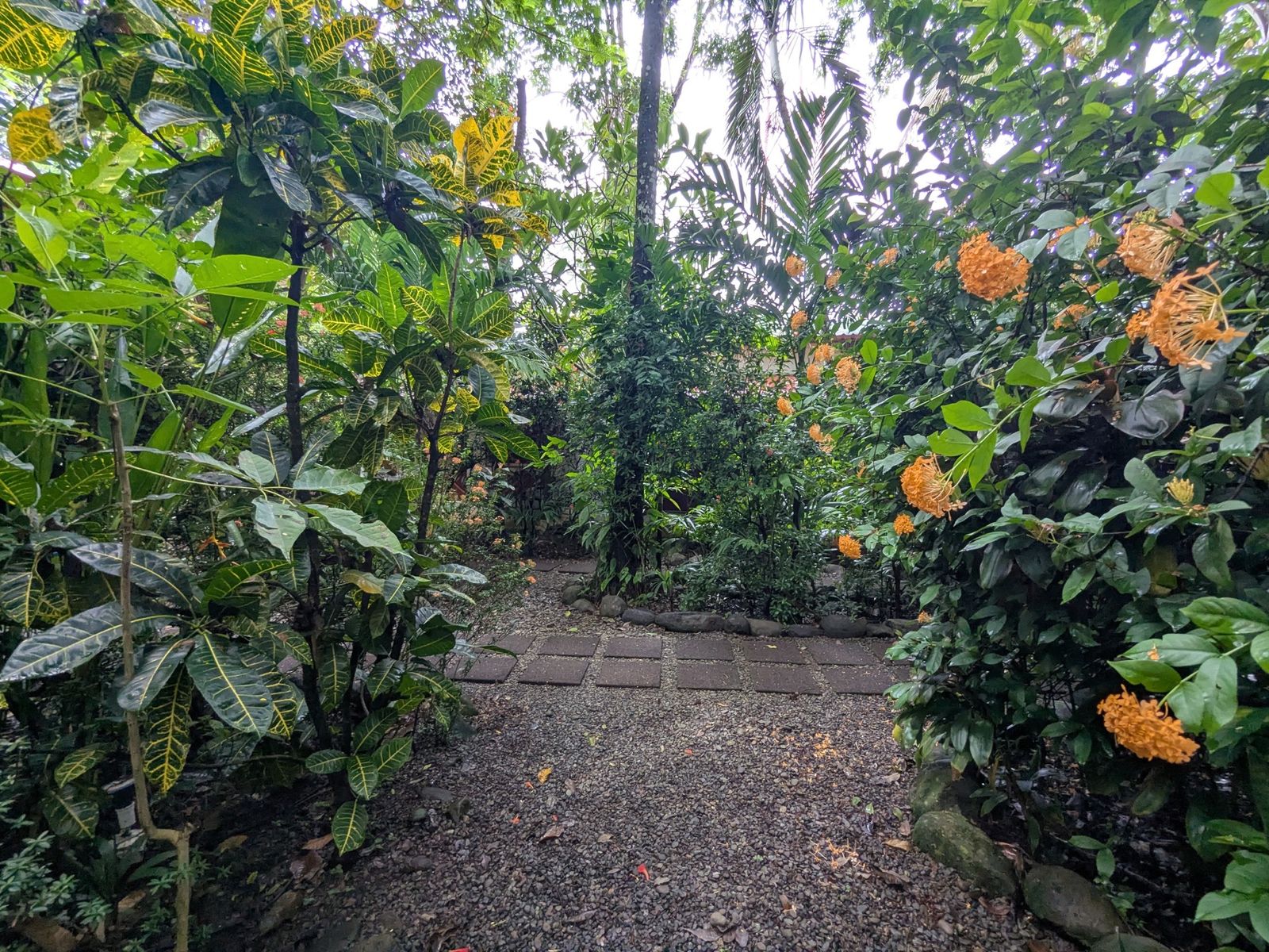 Tropical garden at Montañas de Agua