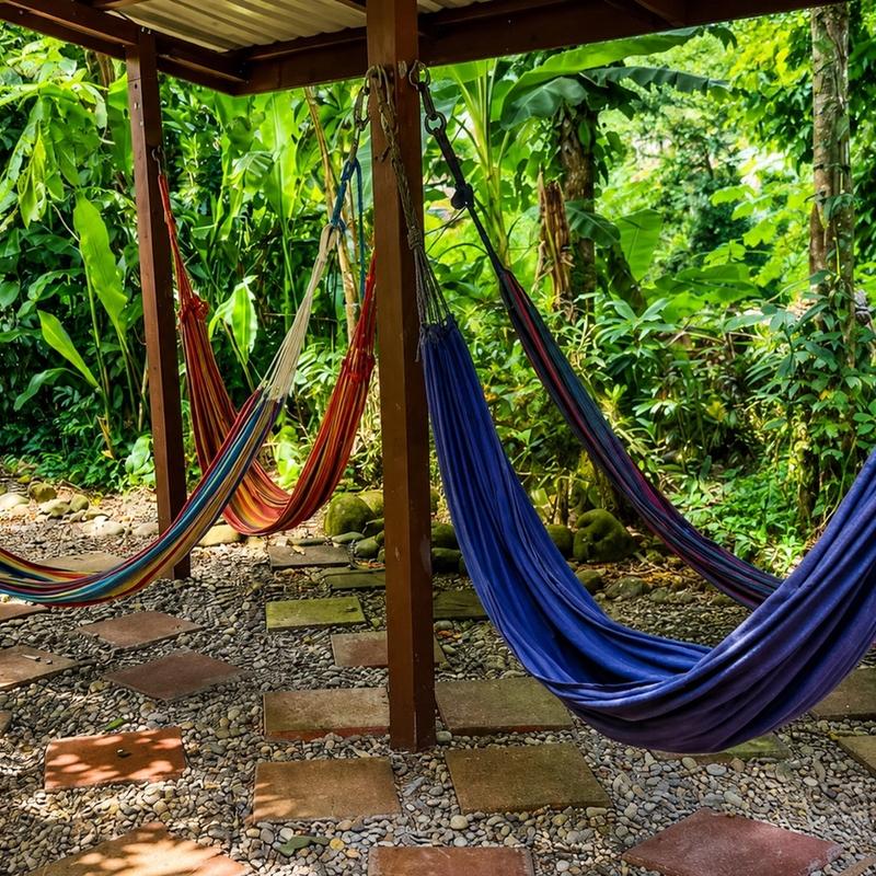 Hammock garden area