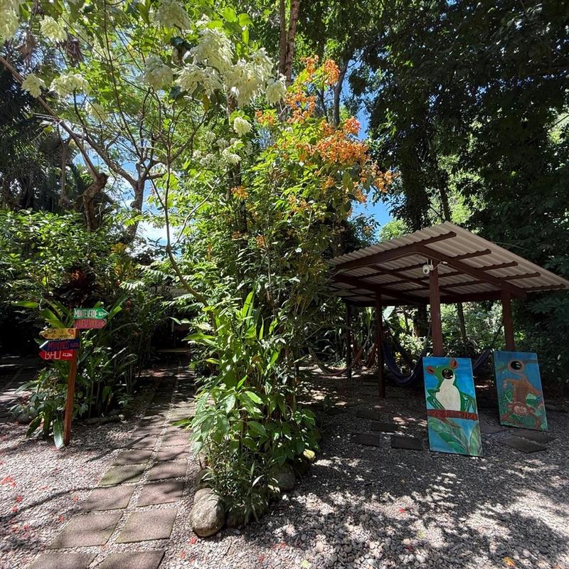 Tropical flowers and garden paths