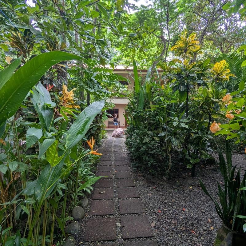 Tropical garden path