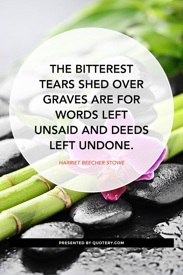 The bitterest tears shed over graves are for words left unsaid and deeds left undone. - Image 1