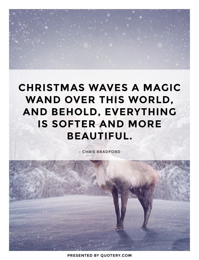 Christmas waves a magic wand over this world, and behold, everything is softer and more beautiful. - Image 1