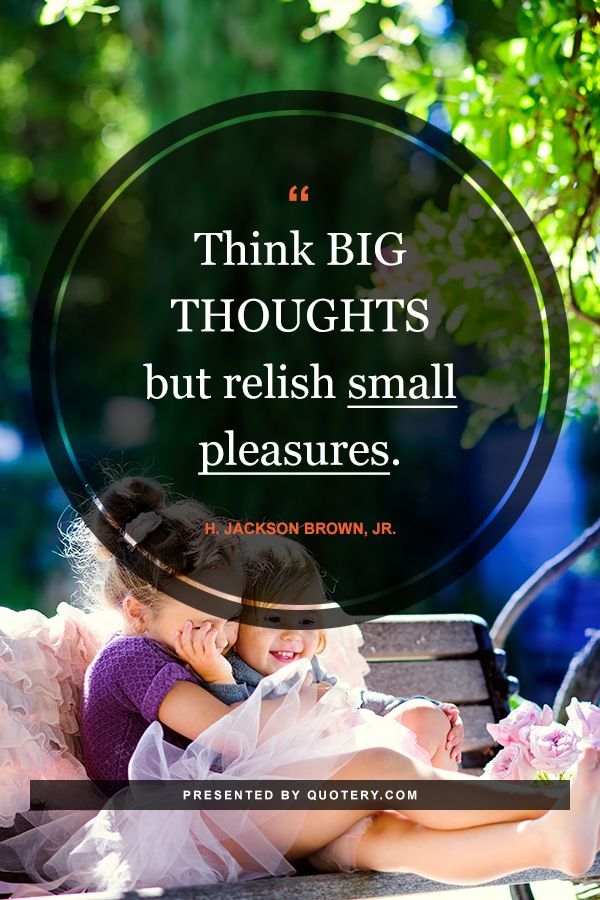 Think big thoughts but relish small pleasures. - Image 1