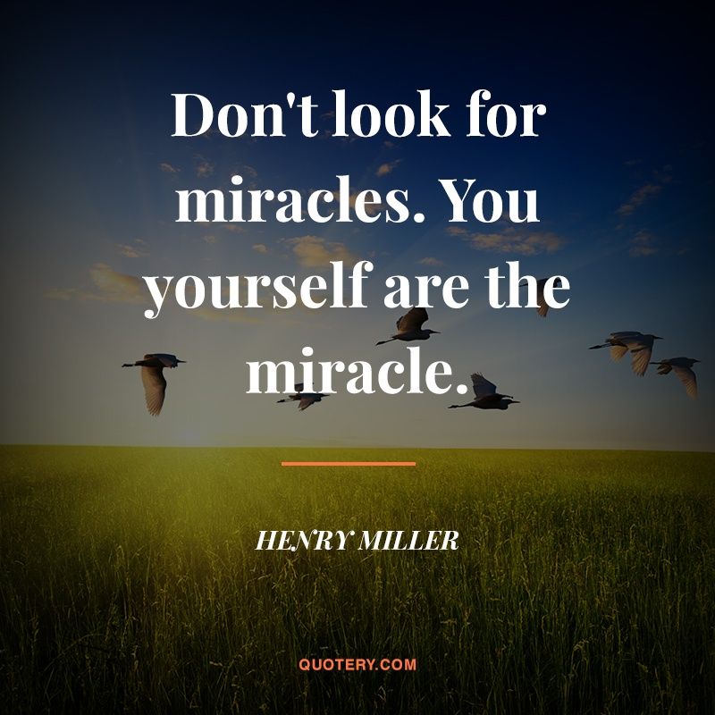 Don't look for miracles. You yourself are the miracle. - Image 1