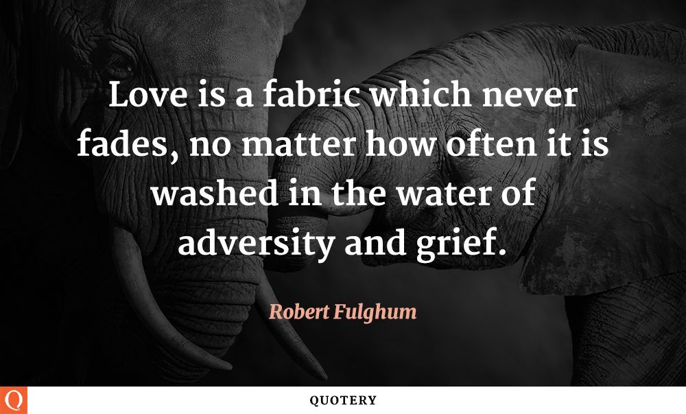 Love is a fabric which never fades, no matter how often it is washed in the water of adversity and grief. - Image 1