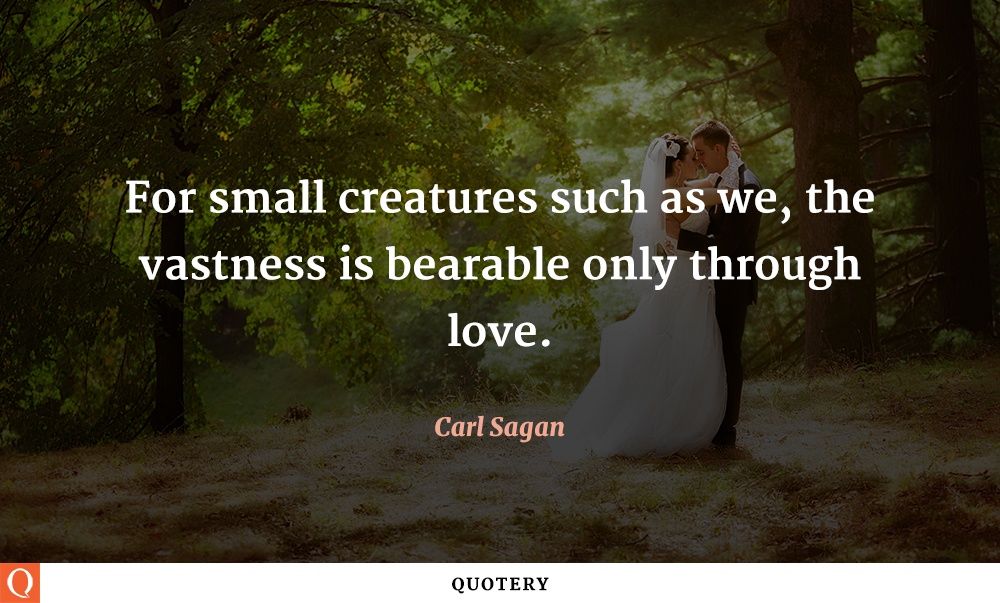 For small creatures such as we, the vastness is bearable only through love. - Image 1