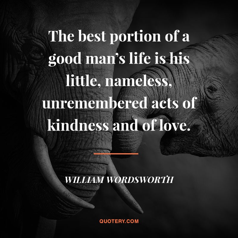 The best portion of a good man’s life is his little, nameless, unremembered acts of kindness and of love. - Image 1