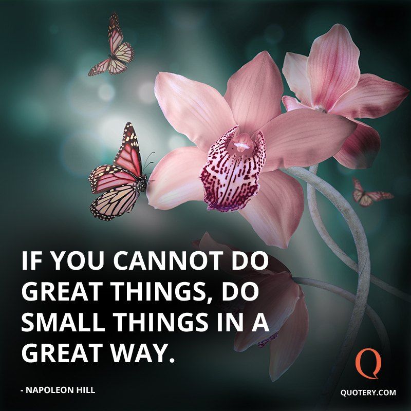 If you cannot do great things, do small things in a great way. - Image 3