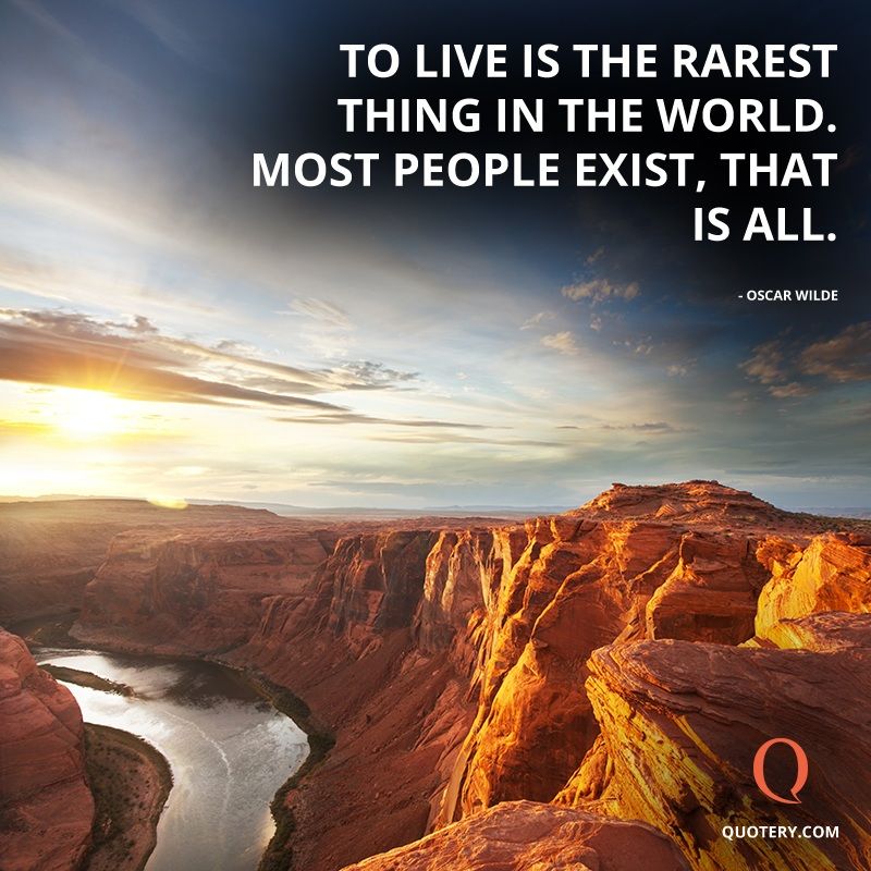 To live is the rarest thing in the world. Most people exist, that is all. - Image 2