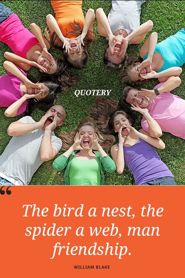 The bird a nest, the spider a web, man friendship. - Image 1